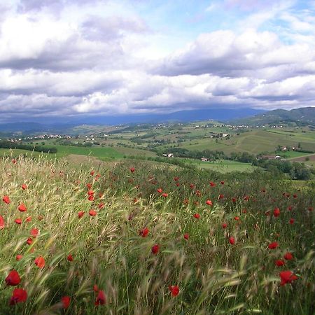 Villa Dei Romaniani Villaromagnano Zewnętrze zdjęcie